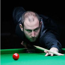 他们在整个 他们在整个